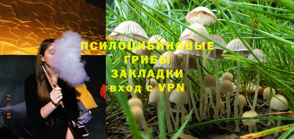 СК Аркадак