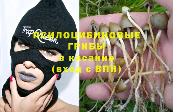 ГАЛЛЮЦИНОГЕННЫЕ ГРИБЫ Армянск