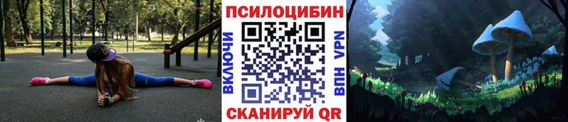 Псилоцибиновые грибы MAGIC MUSHROOMS  Купить где  Томмот 